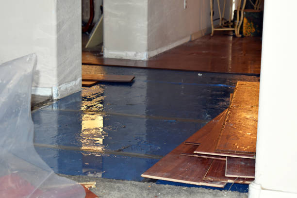 Professional Basement Flood Cleanup technician working in Millsap, TX